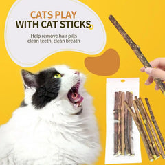 Natural Cat Mint Sticks