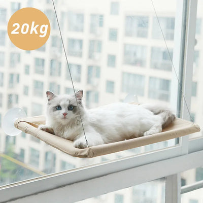 Pet Hammock