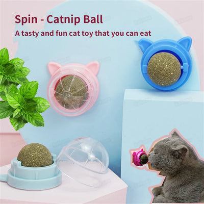 Catnip Wall Ball