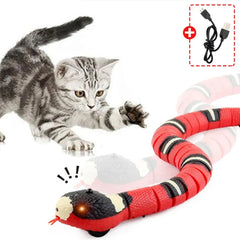 Smart Snake Cat Teaser