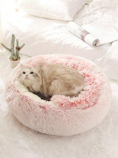 2-in-1 Pet Bed