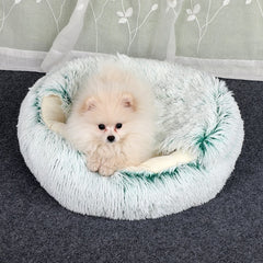 2-in-1 Pet Bed